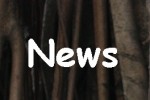 [NEWS] SIRI LINDBERG – Nachtlilien