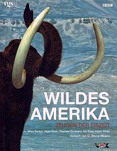 Barton Wildes Amerika Cover klein