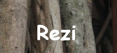 rezi